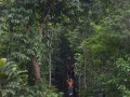 Tn DSC 4034